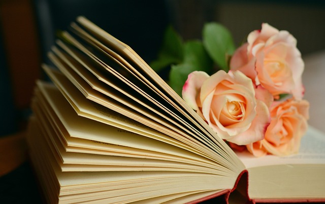 Navigeren door het literaire universum: van genres en auteurs tot publicatie en culturele invloed